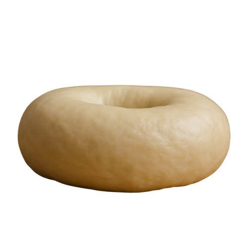 uncookedbagelnoseedssmooth.png